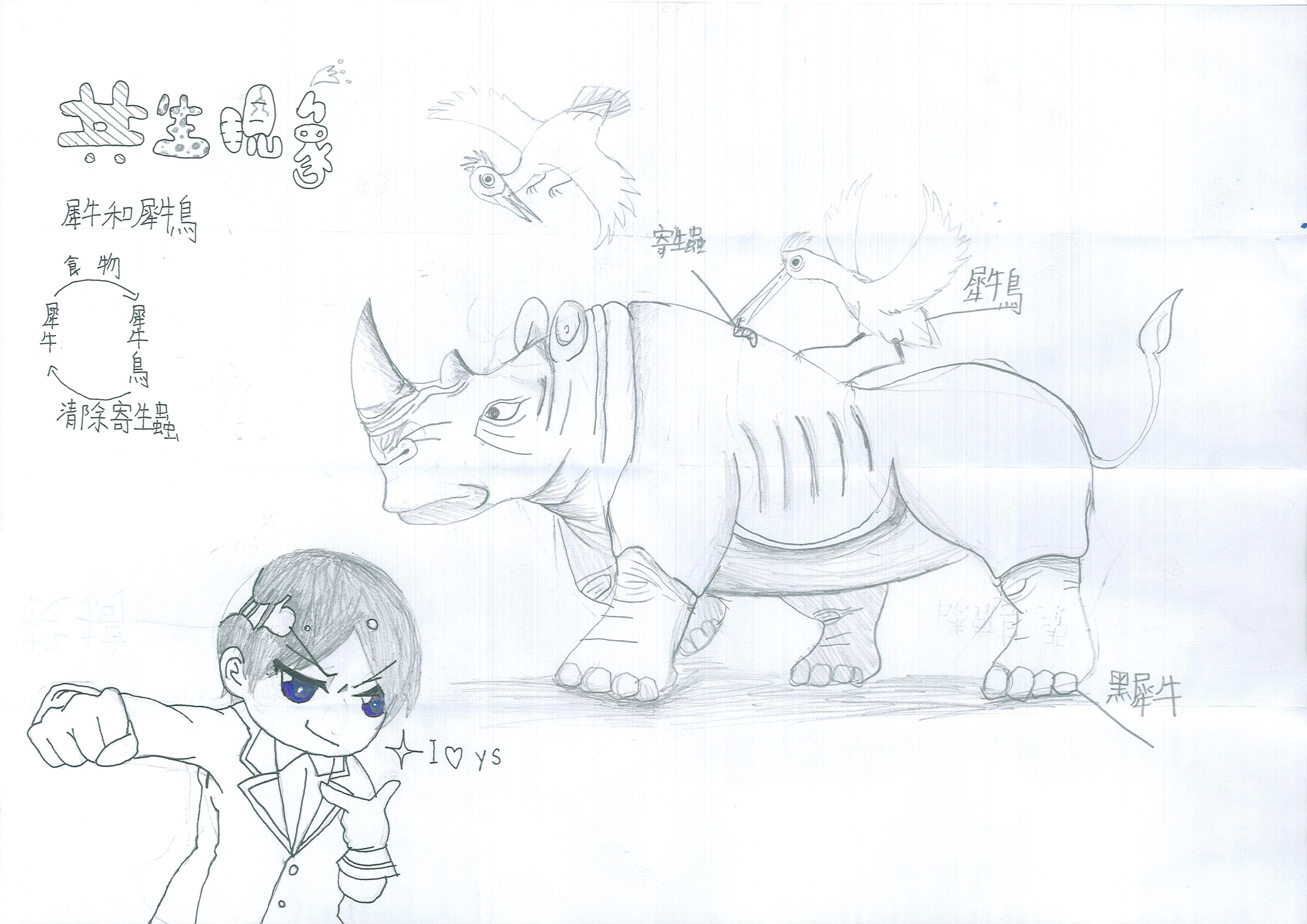 犀牛和犀牛鸟的囹a