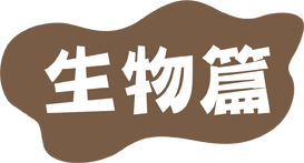 生物篇