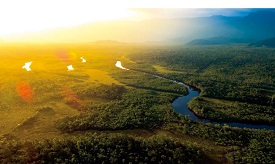 非洲大火滋養亞馬遜雨林